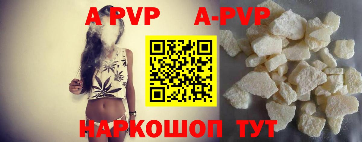 А ПВП СК КРИС  Alfa_PVP СК  Вход с VPN  Луга  А ПВП крисы CK 