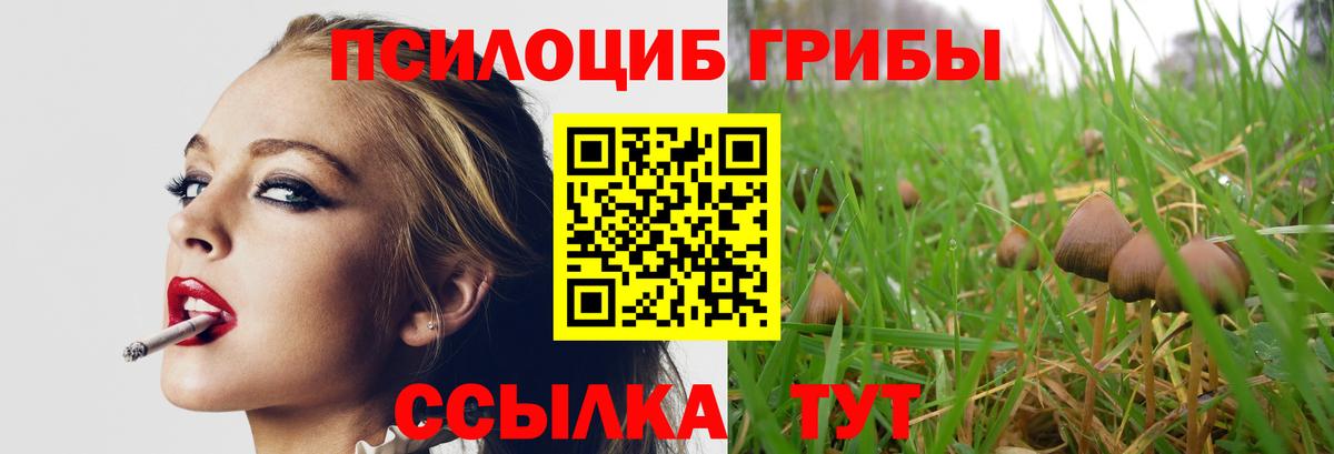 Псилоцибиновые грибы MAGIC MUSHROOMS Луга